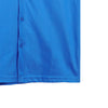 Bobson Japanese Men's Basic Woven Button Down Shirt Regular Fit 141981 (Princess Blue)