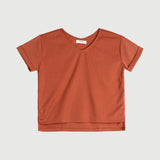 Bobson Japanese Ladies Basic V Neck Tees for Women Trendy Fashion High Quality Apparel Comfortable Casual Top for Women Relaxed Fitting 133313-U (Rust)
